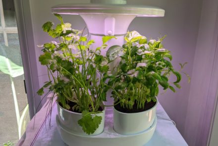 urbotanica urbipod indoor herb garden review